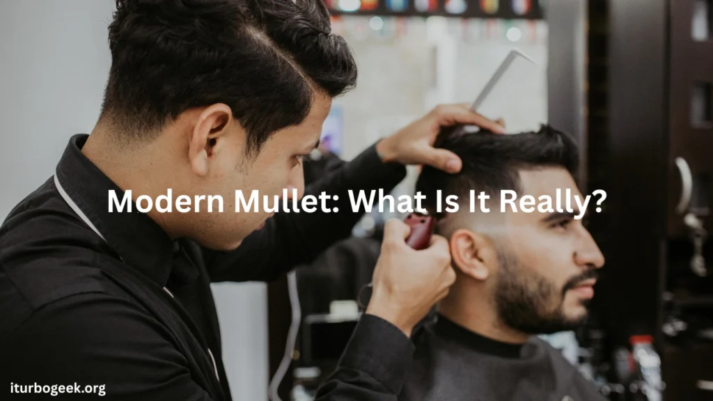 Modern Mullet What Is It Really