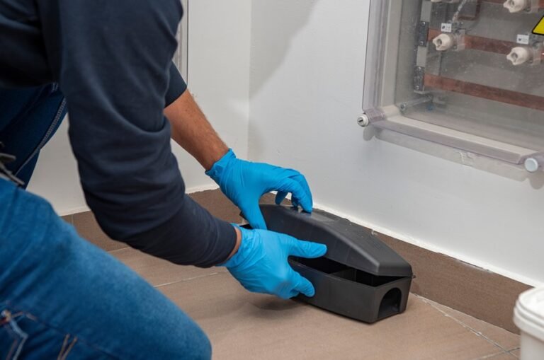 Rats in Sewers to Wasps in the Attic: Why Pest Control Matters in Chelmsford